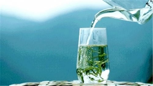開(kāi)卷有益｜茶人高手速成班：綠茶出湯最佳時(shí)間