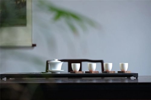 簡(jiǎn)小葉說(shuō)茶|白茶存放多久更好喝？